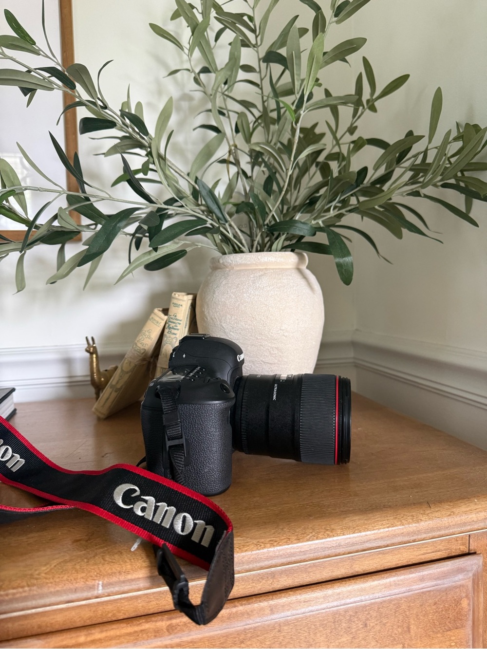 Canon 5D Mark IV + EF 35mm f/1.4L II Lens